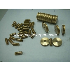 China Mecanizado CNC de precisión Micro Worm Gear proveedor